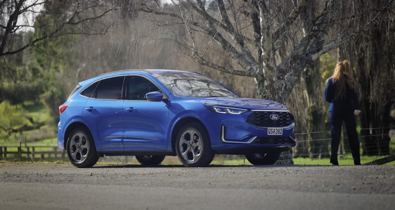 Professional roadside assistance for stranded vehicles